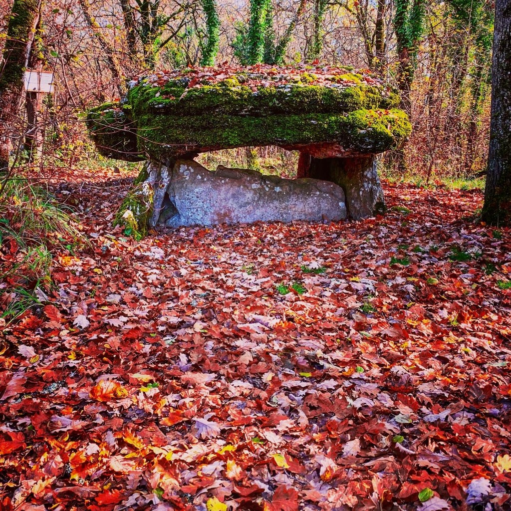 Les dolmens du Bois de Margues