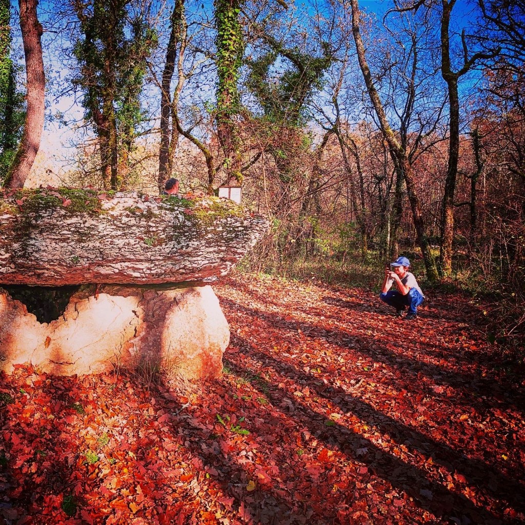Les dolmens du Bois de Margues