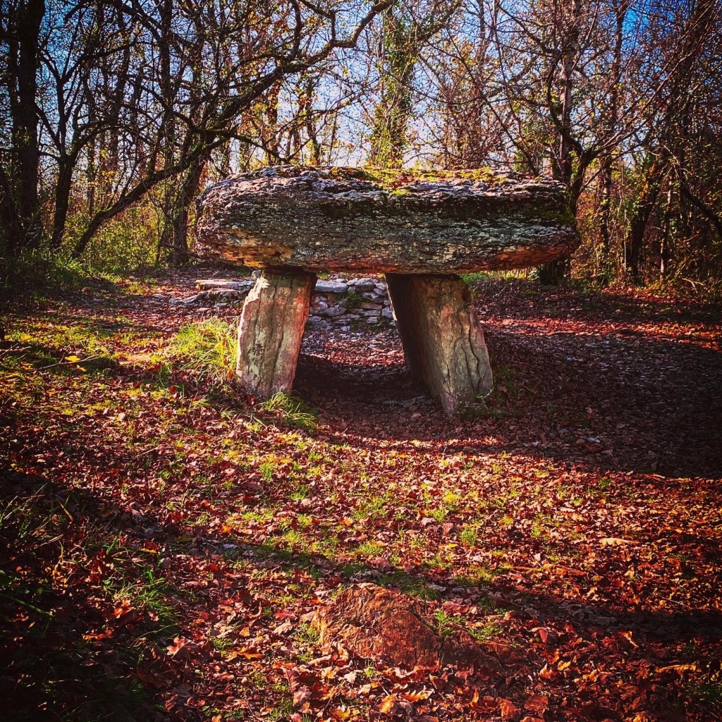 Les dolmens du Bois de Margues