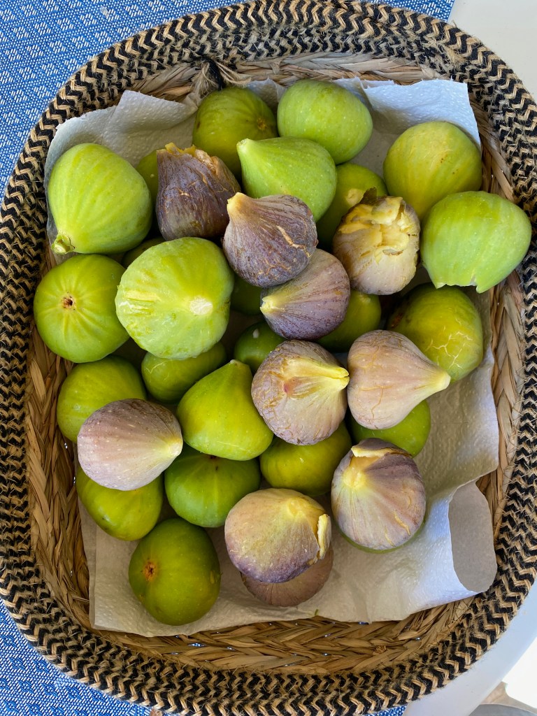 Les figues du jardin